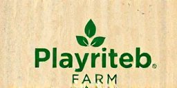 Playriteb Farm Logo